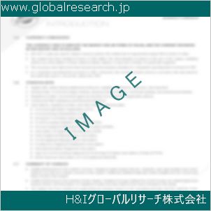 グローバルリサーチ調査資料のイメージ